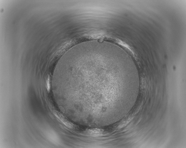 X0000059040069200510101021