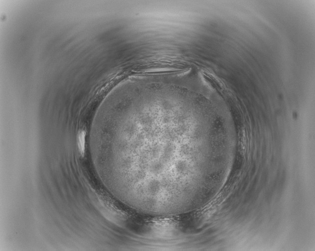 X0000059040070200510101021