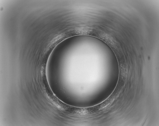 X0000059040071200510101021