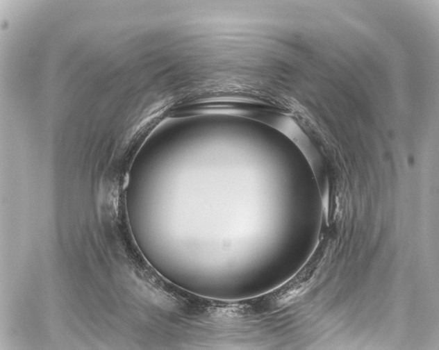 X0000059040072200510101021