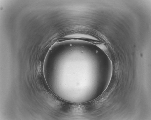 X0000059040073200510101021