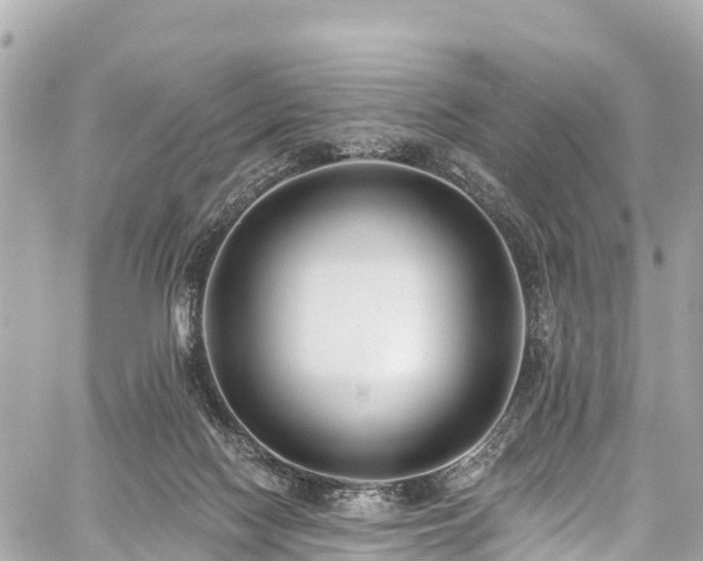 X0000059040074200510101021