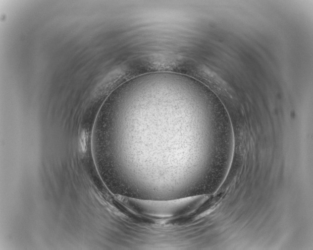 X0000059040075200510101021