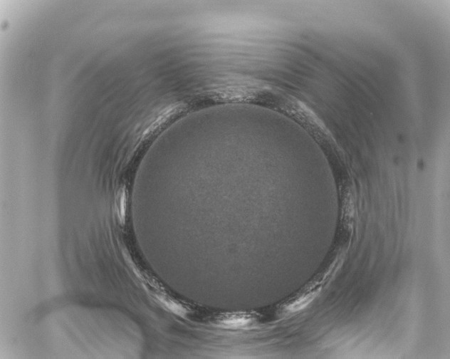 X0000059040076200510101021