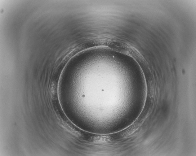 X0000059040077200510101021