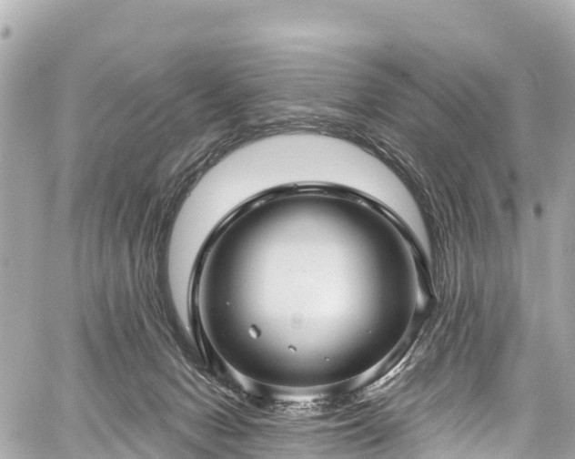 X0000059040078200510101021