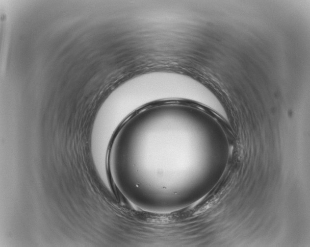 X0000059040079200510101021