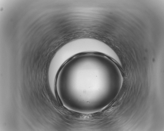 X0000059040080200510101021