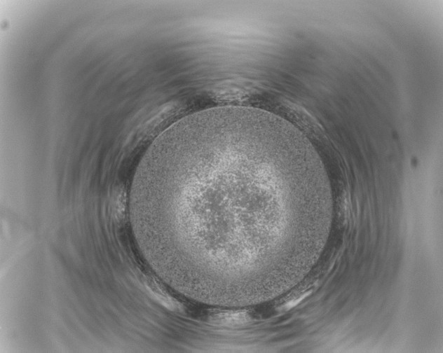 X0000059040081200510101021