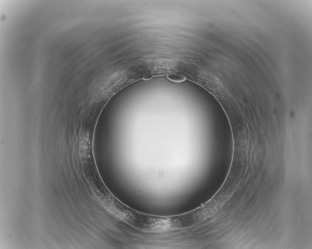 X0000059040083200510101021