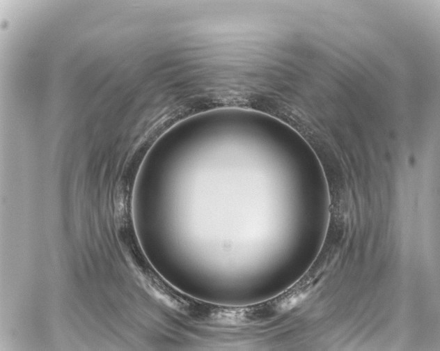 X0000059040084200510101021