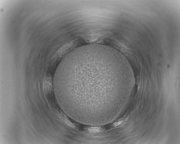 X0000059040085200510101021