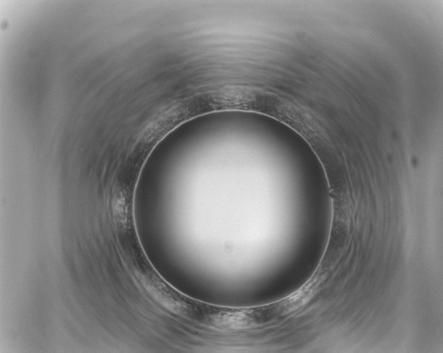 X0000059040086200510101021