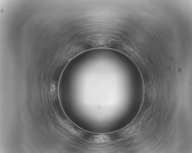 X0000059040087200510101021