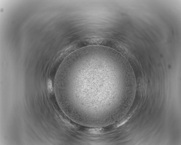 X0000059040089200510101021