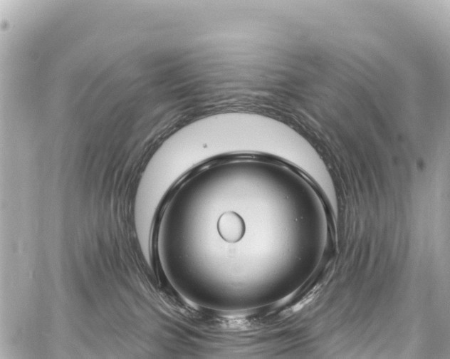 X0000059040091200510101021