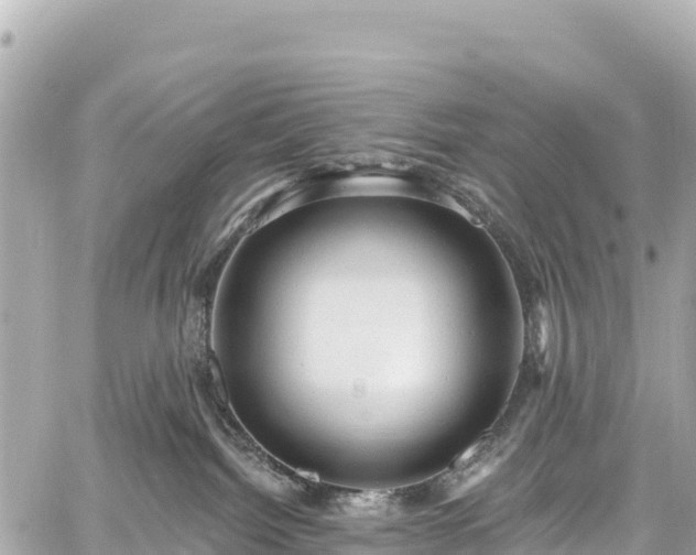 X0000059040092200510101021