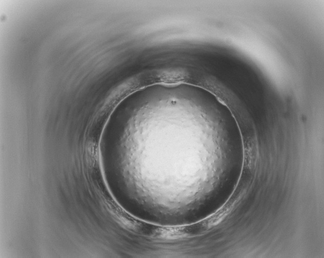 X0000059040093200510101021