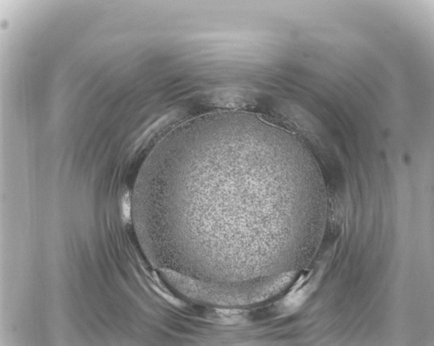 X0000059040095200510101021