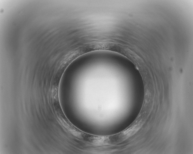 X0000059040096200510101021