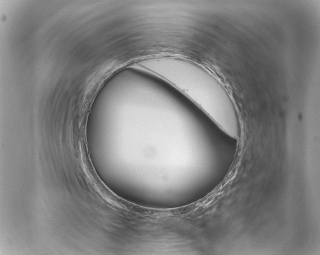 X0000059040097200510101020