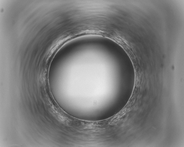 X0000059040098200510101020