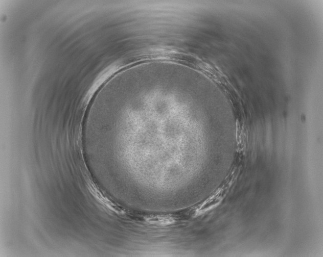 X0000059040099200510101020