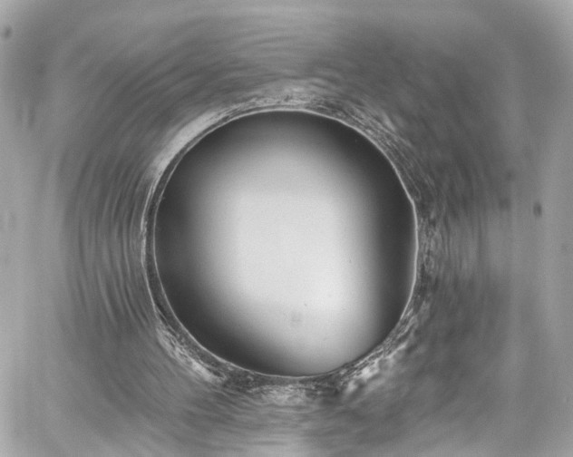 X0000059040100200510101020