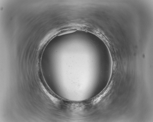 X0000059040101200510101020