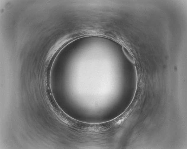 X0000059040103200510101020