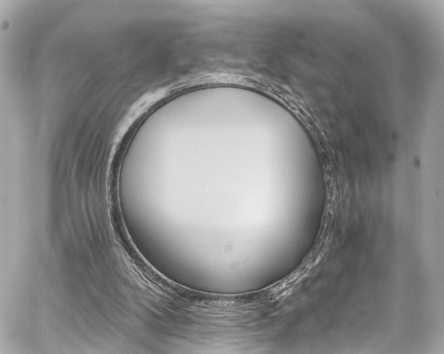 X0000059040104200510101020