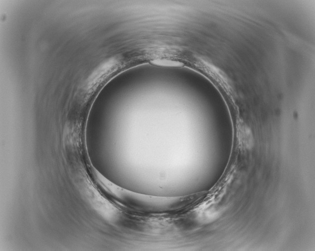 X0000059040105200510101020