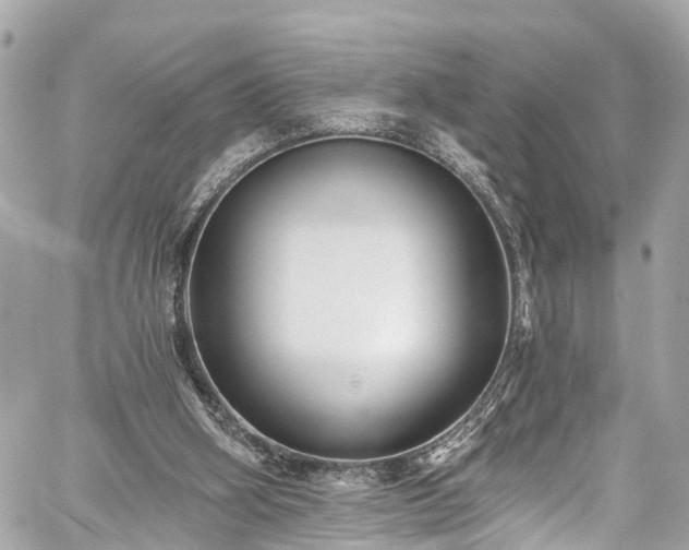 X0000059040106200510101020