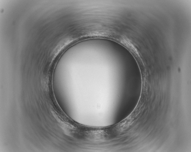 X0000059040108200510101020