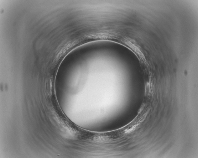 X0000059040109200510101020