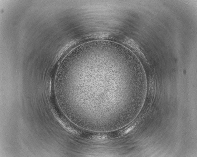 X0000059040110200510101020