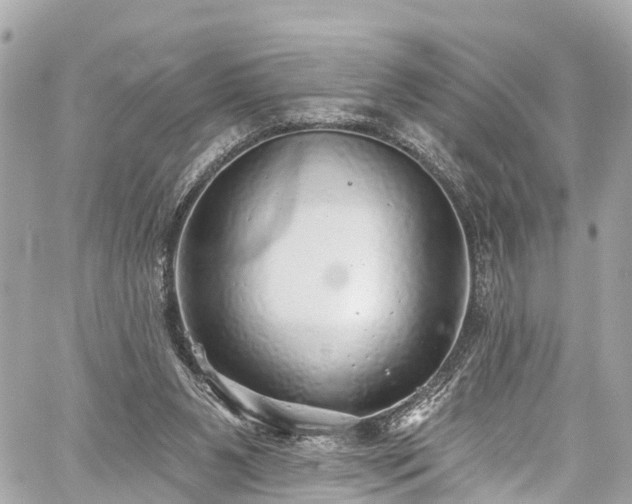 X0000059040111200510101020