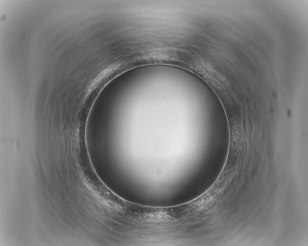 X0000059040112200510101020