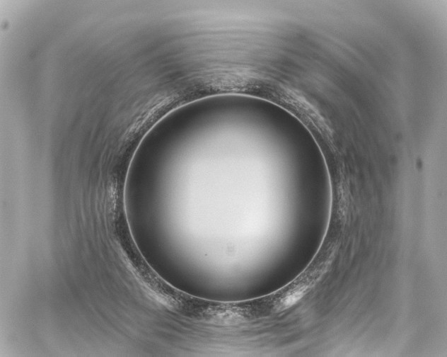 X0000059040113200510101020