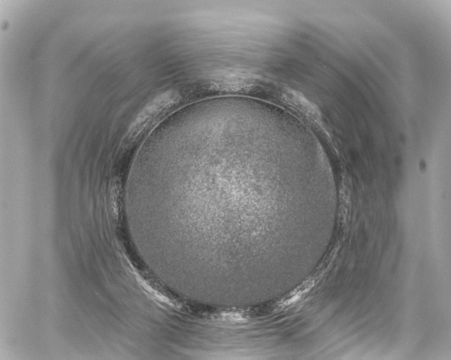 X0000059040114200510101020