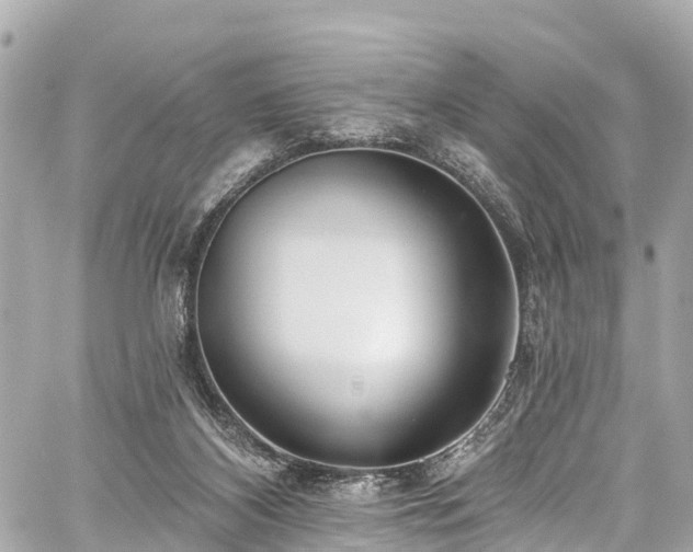 X0000059040116200510101020