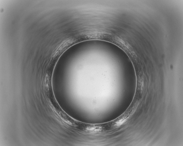 X0000059040117200510101020