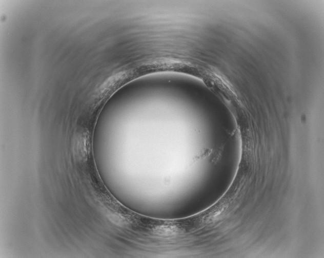 X0000059040119200510101020