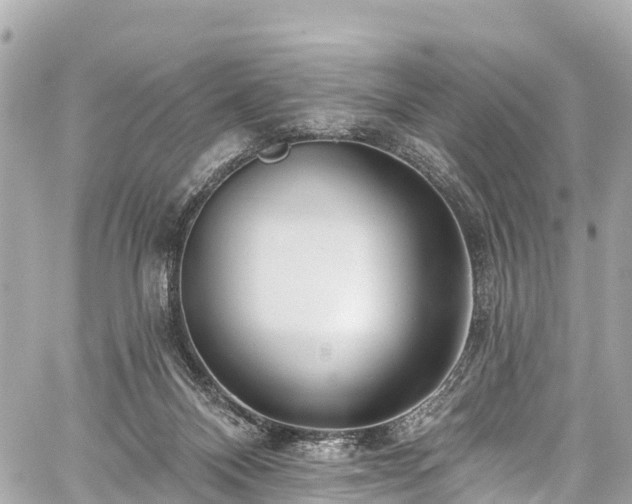 X0000059040120200510101020