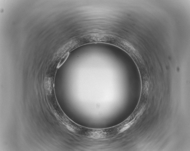 X0000059040121200510101020