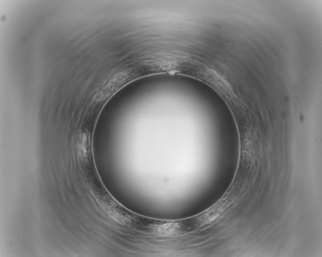 X0000059040122200510101020