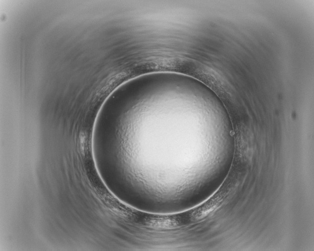 X0000059040123200510101020