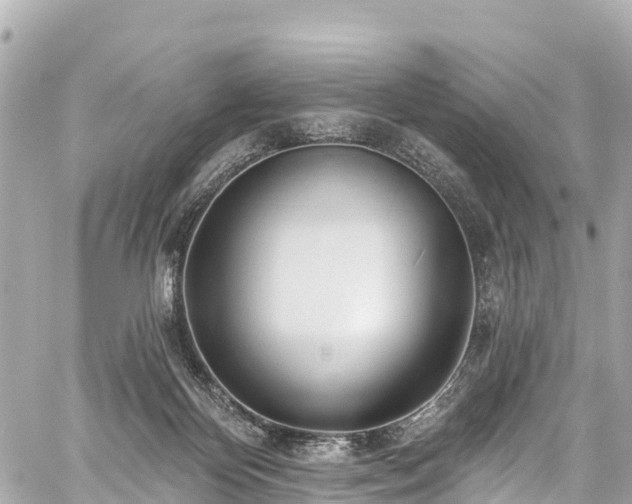 X0000059040124200510101020