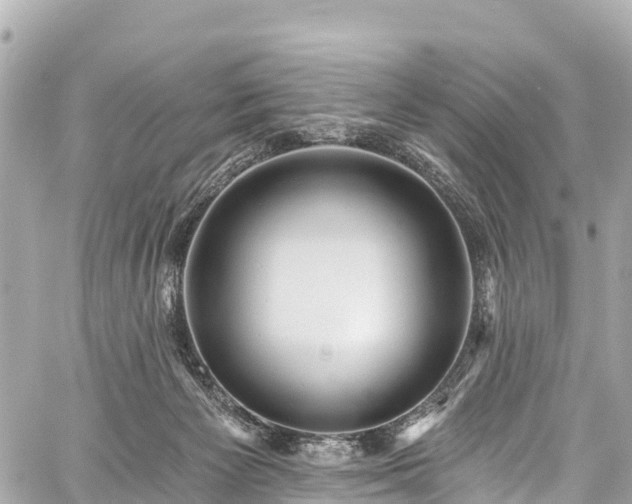 X0000059040125200510101020