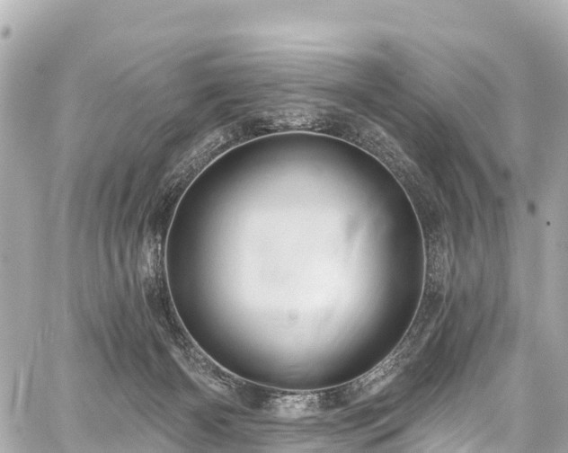 X0000059040126200510101020